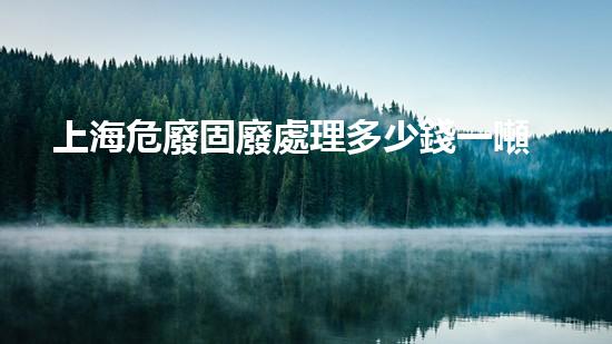上海危廢固廢處理多少錢一噸未來能源：突破技術(shù)瓶頸，開啟環(huán)境友好型新紀元！